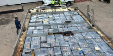 Incautan 259 kilos de cocaína ocultos en furgón que transportaba alimentos