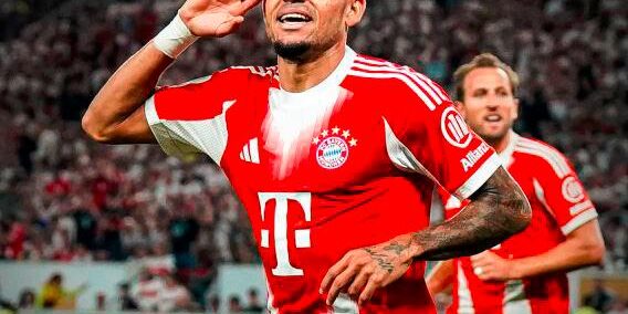 luisd_48571093_20250816155922