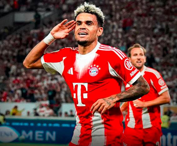 luisd_48571093_20250816155922