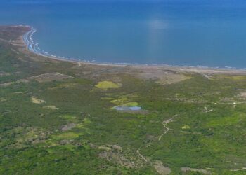 Desde el cielo al mercado: Lagos de Altamira entra en subasta como uno de los terrenos más grandes del Caribe colombiano