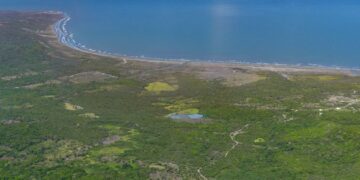 Desde el cielo al mercado: Lagos de Altamira entra en subasta como uno de los terrenos más grandes del Caribe colombiano