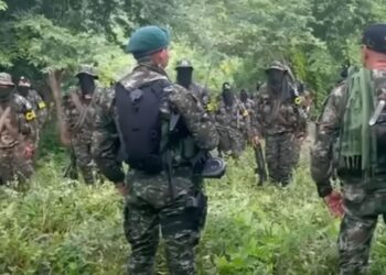 Golpe contundente: nueve ‘Pachencas’ abatidos en feroz combate con el Ejército en La Guajira