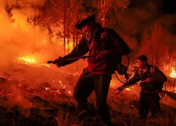 Santa Marta reporta 63 incendios de cobertura vegetal en 2026; autoridades emiten recomendaciones