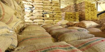 Producción cafetera colombiana cayó un 33,5% en el primer trimestre de 2026