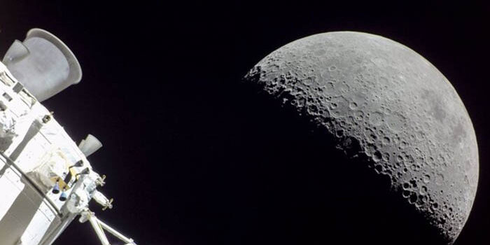 COLP_EXT_136989_2770e