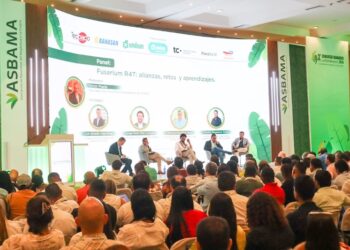 «Competitividad, nuevas tecnologías, sanidad vegetal y sostenibilidad los pilares del 4.º Congreso Bananero Colombiano 2026». 