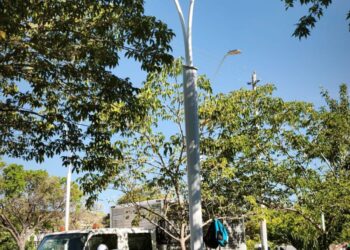 Alcaldía avanza en modernización del alumbrado público en el Polideportivo con reposición de 244 luminarias