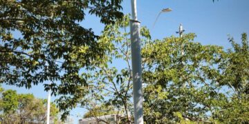 Alcaldía avanza en modernización del alumbrado público en el Polideportivo con reposición de 244 luminarias