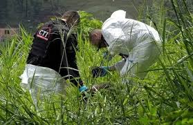 Misteriosa muerte de extranjero en zona rural de Santa Marta es materia de investigación