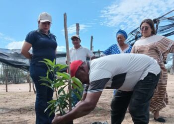Wayúu lideran revolución hídrica en La Guajira con tecnología solar y gestión comunitaria