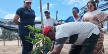 Wayúu lideran revolución hídrica en La Guajira con tecnología solar y gestión comunitaria