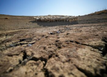 Ideam alerta por intensas olas de calor y posible llegada del fenómeno de El Niño