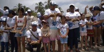 Más de 20 años trabajando por la conservación de las tortugas marinas en el Caribe colombiano