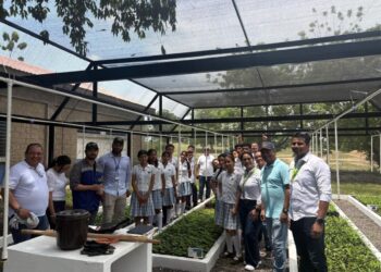 Corpamag entrega 3 viveros bioclimáticos a instituciones educativas para reforestar el departamento del Magdalena