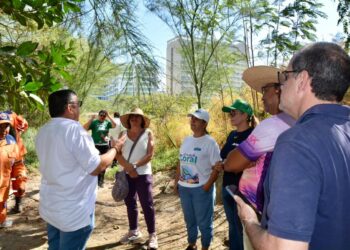 Alcaldía de Santa Marta lideró jornadas de limpieza y recuperación ambiental en el río Gaira y El Pando