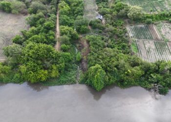 Fenómeno de El Niño disminuye caudal del río Magdalena y afecta el ingreso de agua a los caños de la Ciénaga Grande en Remolino