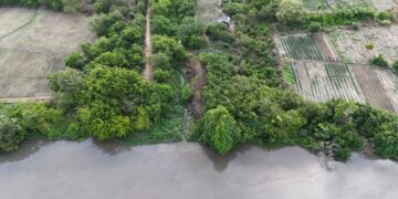 Fenómeno de El Niño disminuye caudal del río Magdalena y afecta el ingreso de agua a los caños de la Ciénaga Grande en Remolino