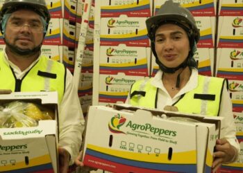Primera exportación de pimentones colombianos hacia Estados Unidos