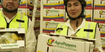 Primera exportación de pimentones colombianos hacia Estados Unidos