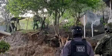 Incautan fusiles y desmantelan sistema de vigilancia de ‘Los Pachenca’ en Santa Marta