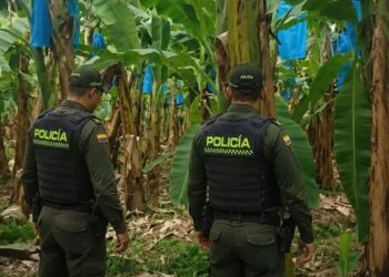 Sector bananero solicita la creación del Distrito Quinto de Policía y mayor pie de fuerza para el municipio de Zona Bananera