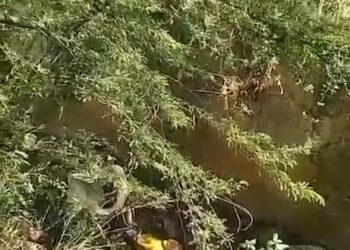 Hallan con vida a adulto mayor desaparecido en Santa Marta: fue encontrado gravemente herido