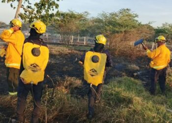 Incendio forestal afectó cerca de 10 hectáreas de vegetación en zona rural de Pivijay