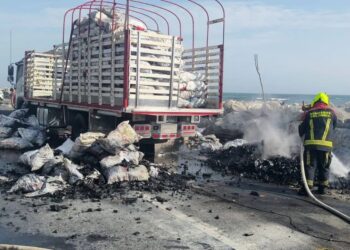 Incendio de camión cargado con carbón vegetal genera emergencia en la vía Palermo-Ciénaga