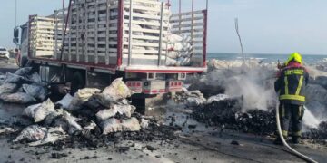 Incendio de camión cargado con carbón vegetal genera emergencia en la vía Palermo-Ciénaga