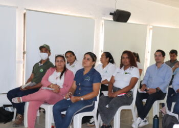 Productores y pequeños productores bananeros fortalecen las certificaciones que les permiten exportar su fruta a Europa