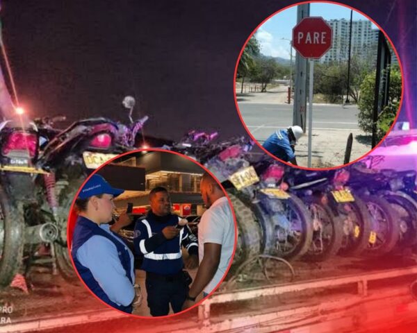 TRANSITO