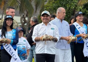 Corpamag, fundación Museo del Mar y Ejército Nacional liberan 25 tortugas marinas junto a las candidatas a Capitana Distrital del Mar 2026