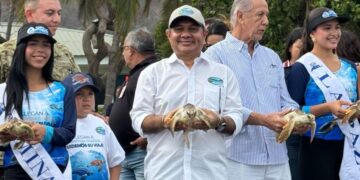 Corpamag, fundación Museo del Mar y Ejército Nacional liberan 25 tortugas marinas junto a las candidatas a Capitana Distrital del Mar 2026