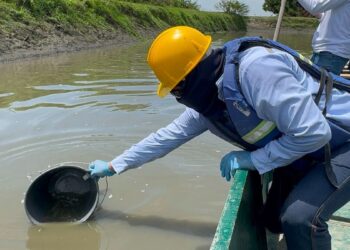 Corpamag investiga mortandad de peces con toma de muestras de agua en el Caño Peñoncito, municipio de San Zenón