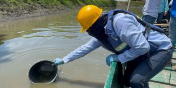 Corpamag investiga mortandad de peces con toma de muestras de agua en el Caño Peñoncito, municipio de San Zenón