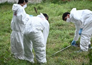 Hallan presuntos restos humanos en una finca de Santa Ana; autoridades investigan