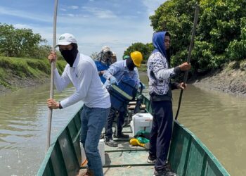 Corpamag investiga mortandad de peces con toma de muestras de agua en el caño Peñoncito, municipio de San Zenón.