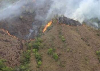 ¡Alerta en el Caribe! Magdalena entre las zonas bajo vigilancia por incendios y altas temperaturas
