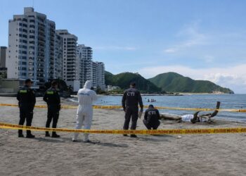 Misterio en Los Cocos: encuentran a un hombre sin vida cerca de la Marina Internacional