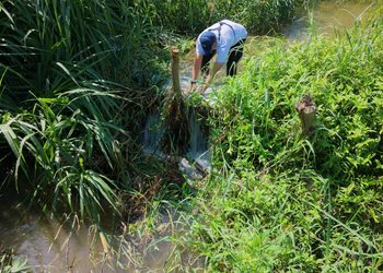 Corpamag retira trincho que obstruía flujo de agua enla quebrada La Aguja, municipio de Ciénaga