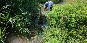 Corpamag retira trincho que obstruía flujo de agua enla quebrada La Aguja, municipio de Ciénaga
