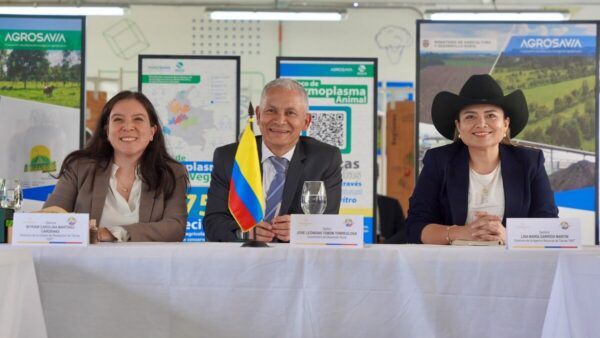 Foto Directora 1