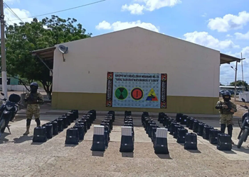 Decomisaron 330.000 cigarrillos de contrabando durante operativo
