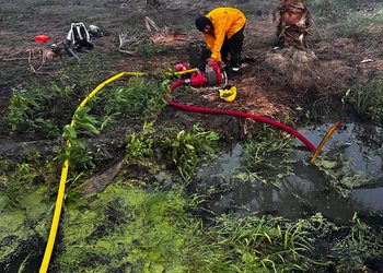 Corpamag y bomberos de Sitio Nuevo refuerzan acciones para prevenir y atender incendios forestales en la ciénaga grande y en el vía parque Isla de Salamanca