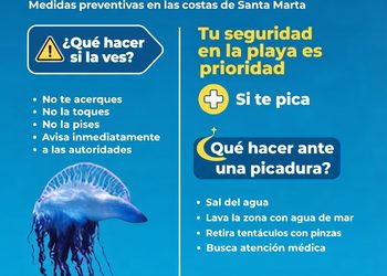 Autoridades entregan recomendaciones por presencia de la Fragata Portuguesa cerca de las playas de Santa Marta