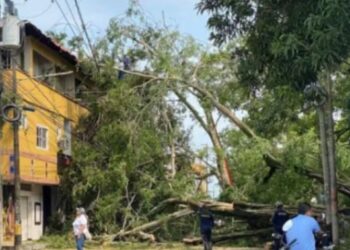 Vendaval destechó cerca de 300 viviendas en Montelíbano, Córdoba