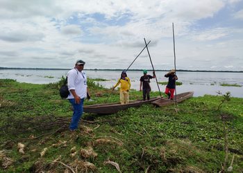 CORPAMAG realiza inspección ante nuevo reporte de mortandad de peces en la ciénaga de Tesca, Guamal
