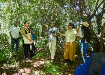 UNIMAGDALENA se suma a la apuesta por conservar el bosque seco tropical y recuperar el río Manzanares